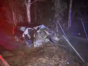 Aydın’da Eşini Vuran Adam Yargılanıyor