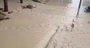 Aydın’da Sel Faciası: Araçlar Sulara Kapıldı