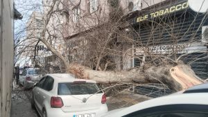 Balıkesir’de kamyonun çarptığı çınar ağacı, araçların üzerine devrildi