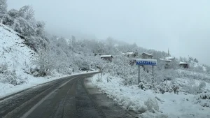 Bartın’da Kar Yağışı 5 Köy Yolunu Kapattı