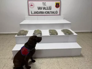 Başkale’de 5 Kilo Esrar Ele Geçirildi