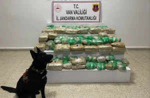 Başkale’de 51 Kilo Skunk Ele Geçirildi