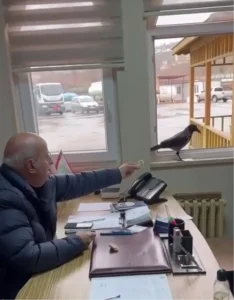 Başkan Kargaya Ekmeğini Verdi