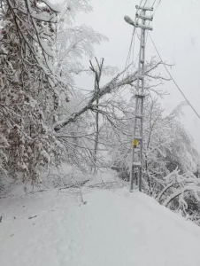Başkent EDAŞ Kış Koşullarında Enerji Arzını Sürdürüyor