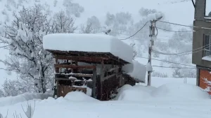 Beytüşşebap’ta Yoğun Kar Hayatı Durdurdu