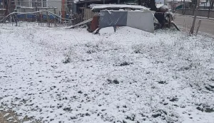 Bilecik’te Kar Yağışı Etkili Oldu