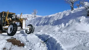 Bingöl’de 102 Köy Yolu Kapalı