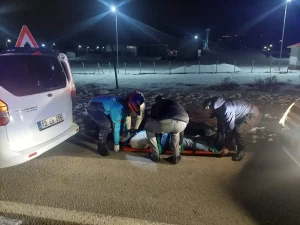 Bingöl’de Otomobil Domuz Sürüsüne Çarptı: 3 Yaralı