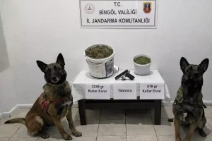 Bingöl’de Uyuşturucu Operasyonu