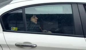 Bir annenin en zor anı! Teşhis sırasında adeta yıkıldı