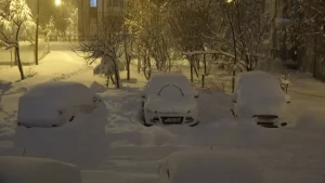 Bitlis’te Kar Yağışı Hayatı Olumsuz Etkiliyor