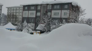 Bitlis’te Kar Yağışı Hayatı Olumsuz Etkiliyor