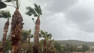 Bodrum’da Fırtına Hayatı Olumsuz Etkiledi