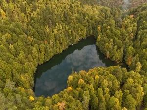 Bolu Tabiat Parkları 2025’te 1.5 Milyon Ziyaretçi Ağırladı