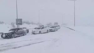 Bolu’da Kar Yağışı Araçları Yolda Bıraktı