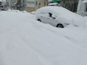 Bolu’da Kar Yağışı Trafiği Etkiledi