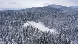 Bolu’da Kar Yağışı ve Soğuk Hava Etkili