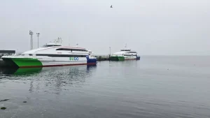 BUDO Seferleri İptal Edildi