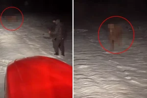 Bütün köyü seferber eden olay: Gece yarısı traktörlerle peşine düştüler