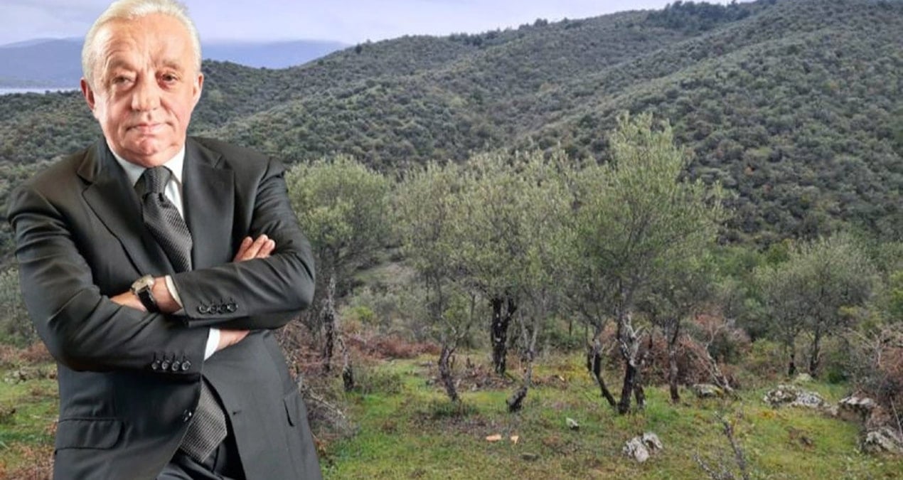 Cengiz, Sinop’ta tam 224 bin ağaç kesecek!