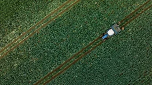 Çiftçilere 255,4 milyon lira tarımsal destekleme ödemesi