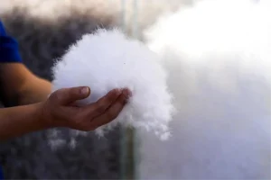 Çin’in Kaz Tüyü Merkezi: Gangnan