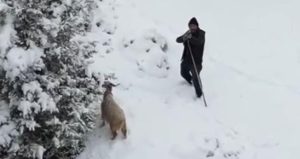 Çoban gördüğü drona tüfek doğrulttu! O anlar kameraya yansıdı