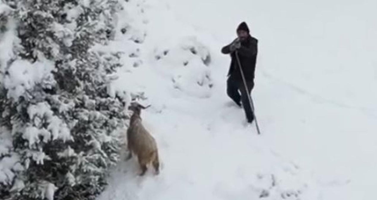 Çoban gördüğü drona tüfek doğrulttu! O anlar kameraya yansıdı