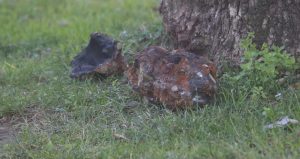 Çocuk parkında paniğe neden olan mühimmat incelemeye alındı