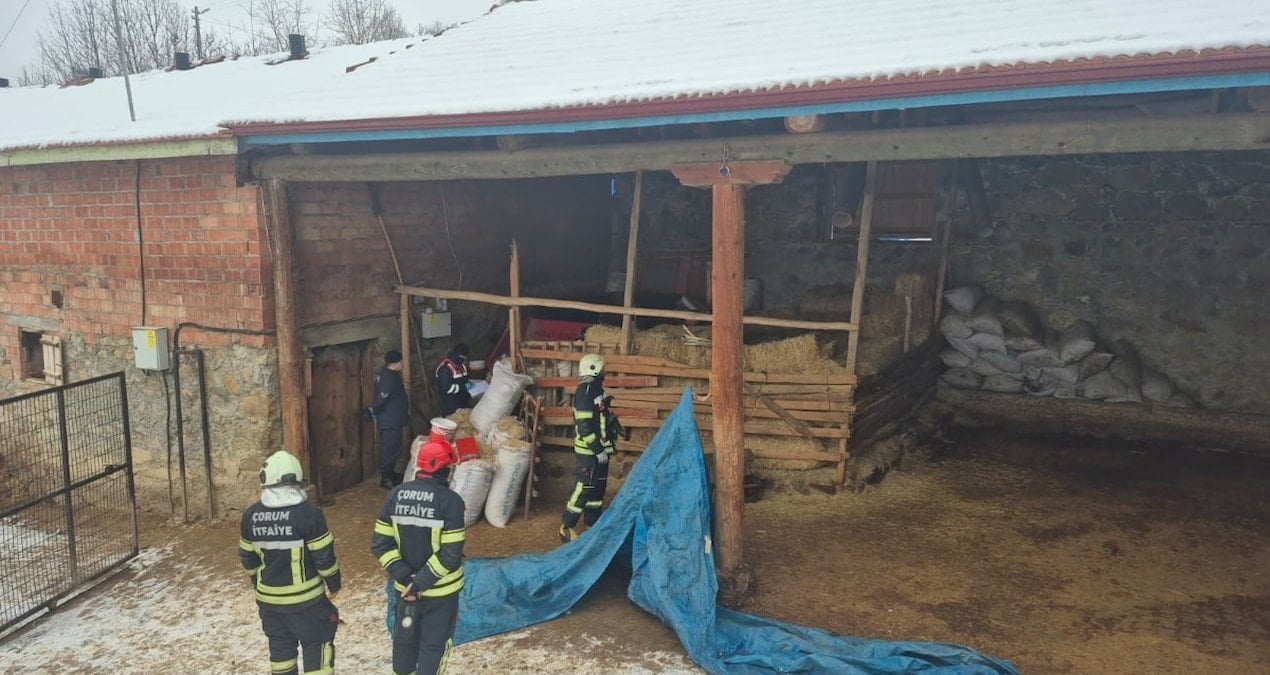 Çorum’da korkunç ölüm: Yem kırma makinesine düşen kişi hayatını kaybetti