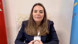 DEM’in saç örme akımına Ayyüce Türkeş’ten tepki: Türk geleneğidir