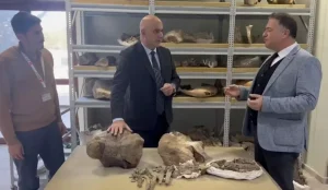 Dev Gergedan Fosili Tuzluca’da Bulundu