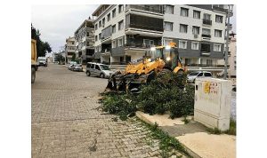 Didim Belediyesi Ekipleri Her Koşulda Sahada