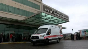 Diyarbakır’da Cinayet: Rojda Yakışıklı Boğuldu