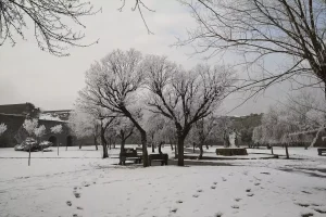 Diyarbakır’da Soğuk Hava Etkili