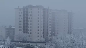 Diyarbakır’da Yoğun Sis ve Kırağı