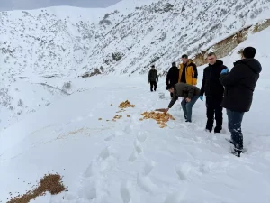 Doğu Anadolu’da Kar Sebebiyle Yollar Kapandı