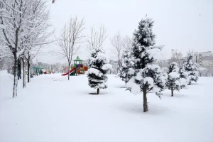 Doğu’da Karla Mücadele: 1493 Yol Açıldı