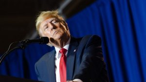 Donald Trump: Grönland’ın savunmasını iki köpek kızağı yapıyor