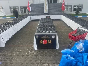 Düzce’de Silah Kaçakçılığı Operasyonu
