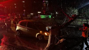 Edirne’de Ağaç Otomobil Üzerine Düştü