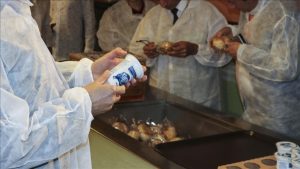 Eğitim-öğretim yılının ilk yarısında kantinlere 178 idari yaptırım