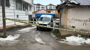 Elazığ’da Havaya Rastgele Ateş Açıldı: 1 Yaralı