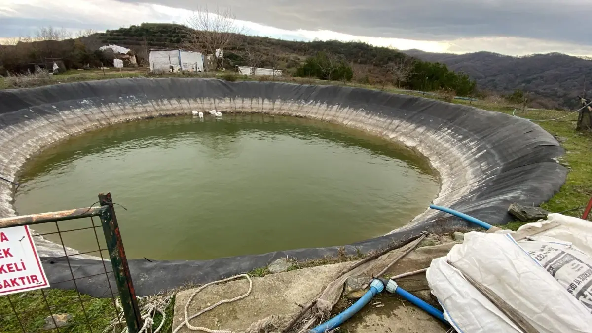 Elif Kumal İçin Umutlar Azalıyor