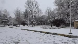 Erzincan’da Kar Yağışı Etkili Oldu