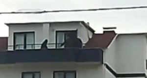 FETÖ hükümlüsü ihraç üsteğmen çatıda yakalandı