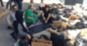 Gebze’de katliamın adresi kapalı: Barınak ziyarete kapatıldı