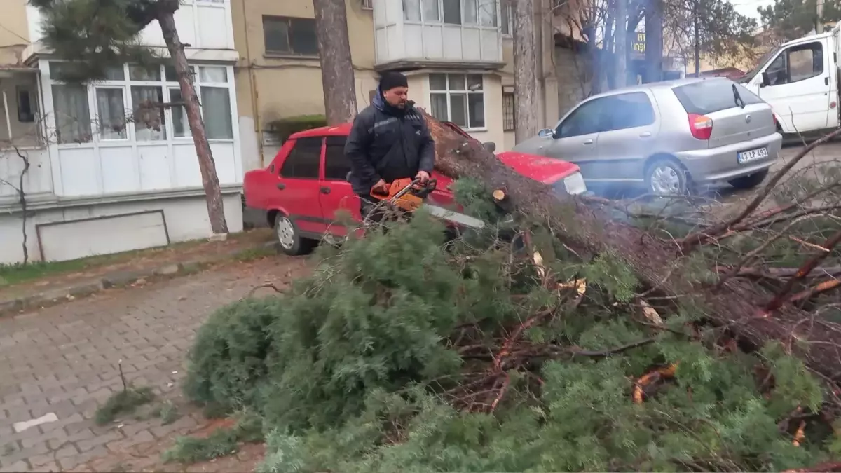 Gediz’de Kuvvetli Fırtına Hasara Yol Açtı