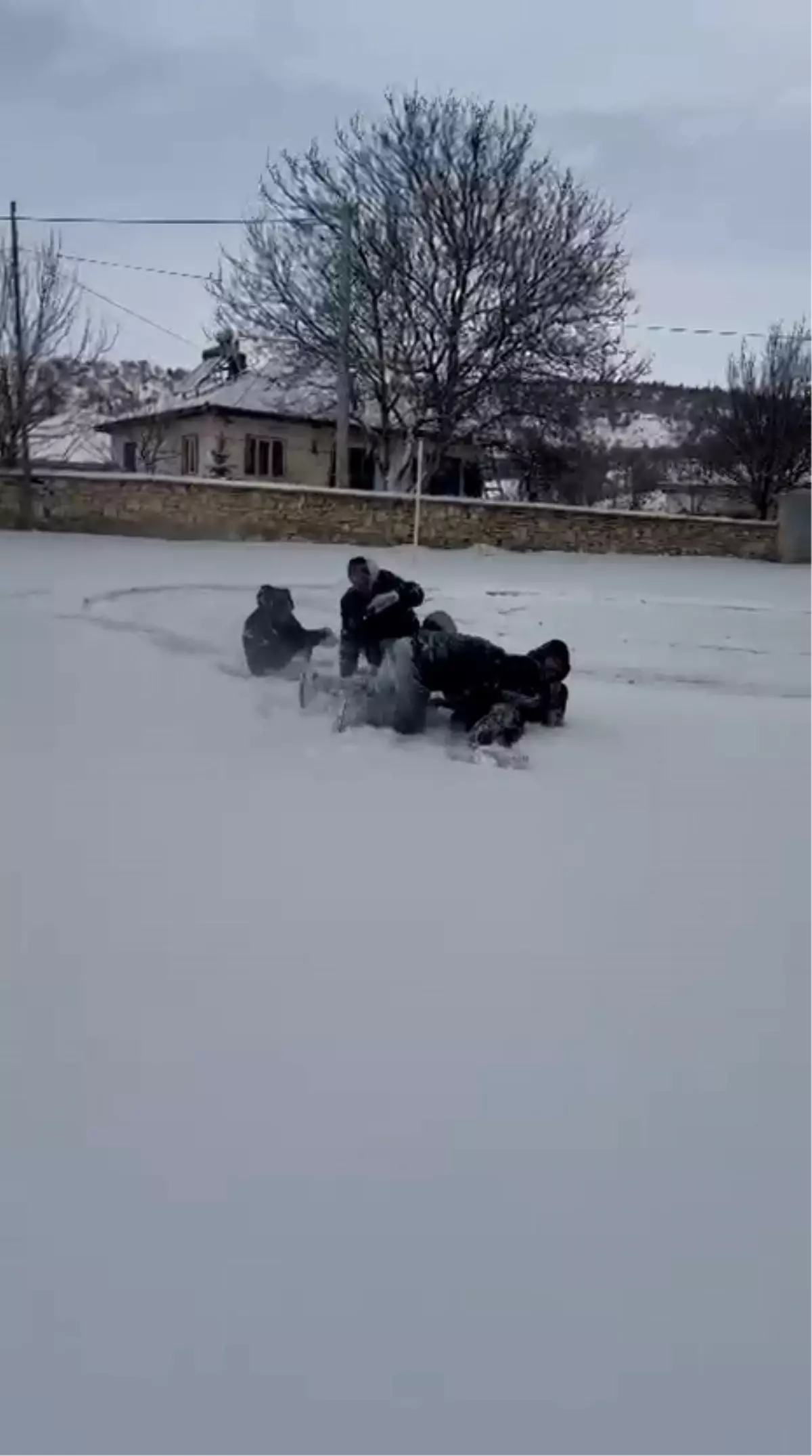 Gençler Karla Eğlendi