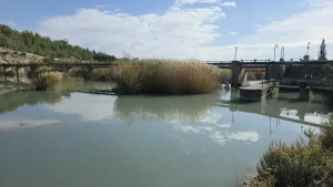 Göksu Nehri’nde Kirlilik Sorunu